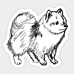 Hand Drawn Pomeranian Sketch Sticker